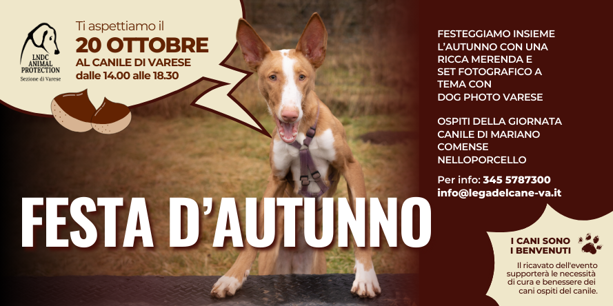 autunno evento benefico per il canile di varese, castagnata, varese, beneficenza, shooting fotografico, fotografo cani